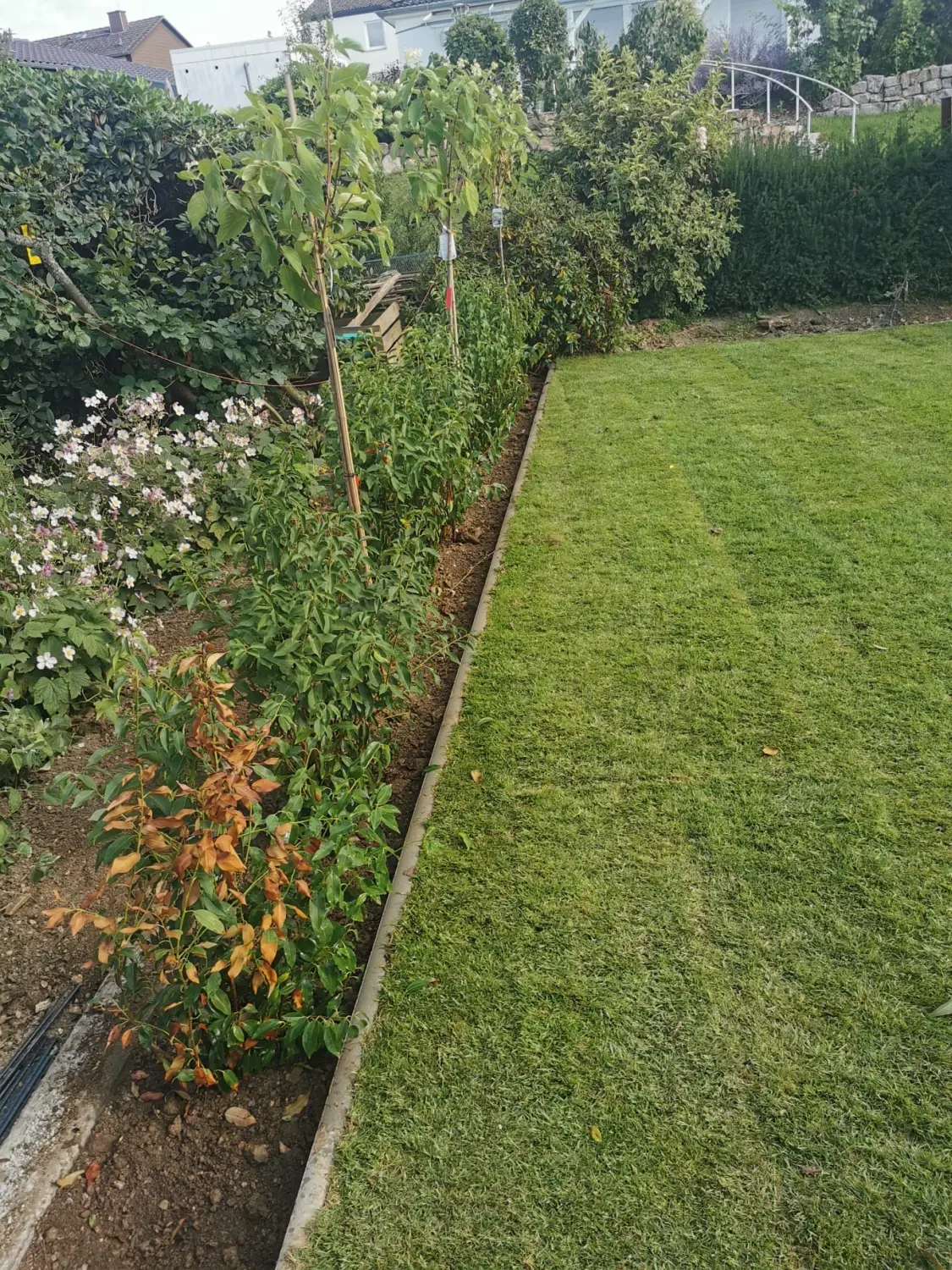 Top Garten & Hausmeisterservice 